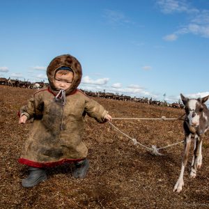 Little Bogdan is playing big with his pet fawn Khoreku in Yadne family herding camp on the left bank of Yenisey river in West Siberia